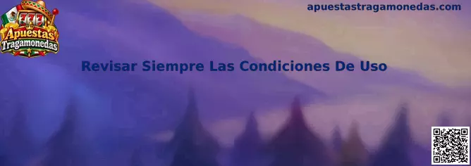 Revisar Siempre Las Condiciones De Uso en Apuestas Tragamonedas