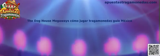 Guía sobre The Dog House Megaways cómo jugar tragamonedas guía México