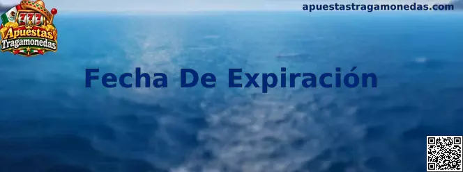 Guía informativa sobre la fecha de expiración de bonos y promociones en tragamonedas