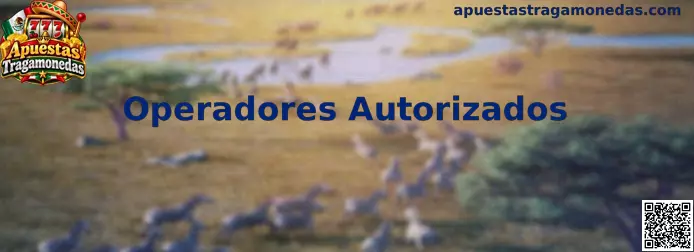 Guía para consultar operadores autorizados de apuestas y tragamonedas en México