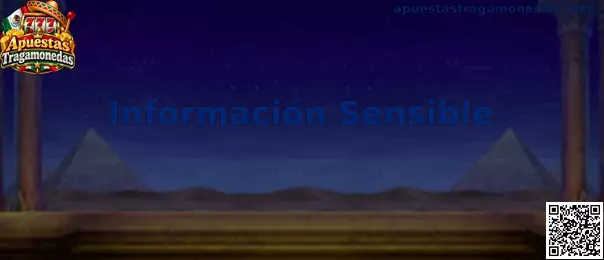 Información Sensible en Apuestas Tragamonedas