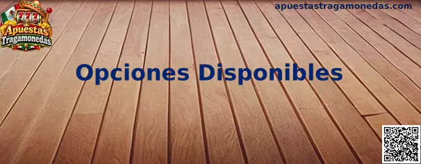 Guía visual sobre opciones disponibles en una plataforma digital de apuestas tragamonedas