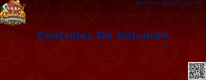 Controles De Volumen en Apuestas Tragamonedas