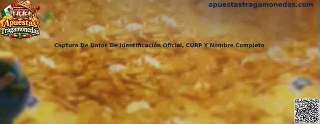 Guía sobre la captura de CURP, nombre completo e identificación oficial durante el registro en Apuestas Tragamonedas
