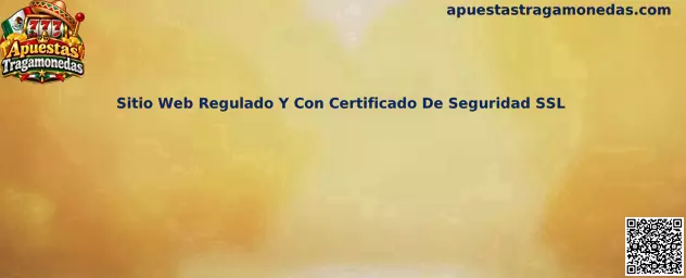 Sitio Web Regulado Y Con Certificado De Seguridad SSL